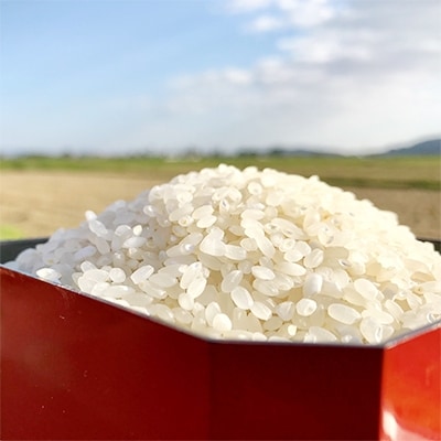 登米市米山町産特別栽培米(ひとめぼれ・ササニシキ)食べ比べセット　各2kg(計4kg)
