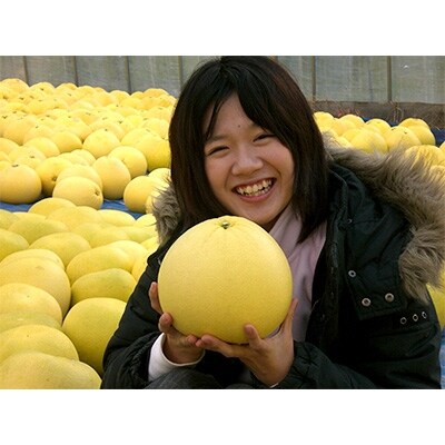 山本果樹園の晩白柚(2L) 2玉