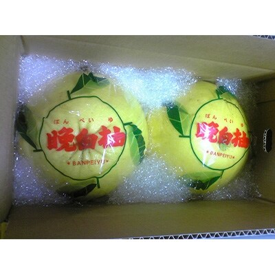 山本果樹園の晩白柚(2L) 2玉