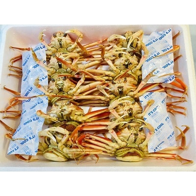 子持ち 茹でセコガニ 中サイズ 10杯セット(冷凍)