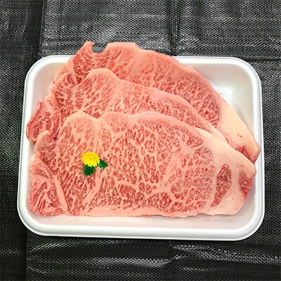 3月発送分  長崎和牛　サーロインステーキ　(約600g)