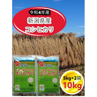 【2023年3月下旬発送】新潟県胎内市産コシヒカリ10kg(5kg×2袋)