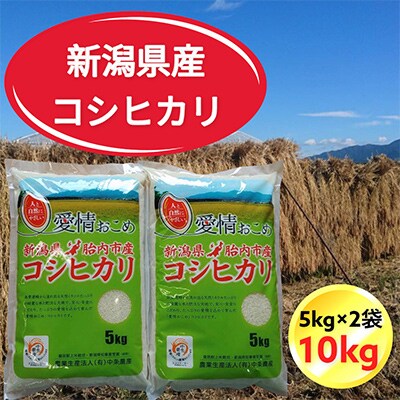 令和6年産　新潟県胎内市産コシヒカリ10kg(5kg×2袋)