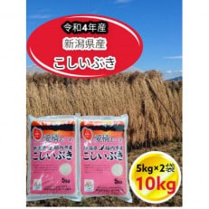 新潟県胎内市産こしいぶき10kg(5kg×2袋)(精米)