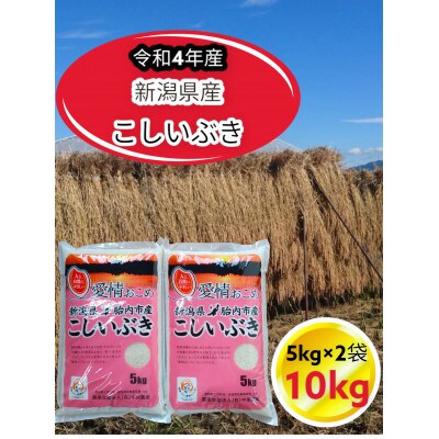 【2023年9月下旬発送】新潟県胎内市産こしいぶき10kg(5kg×2袋)(精米)