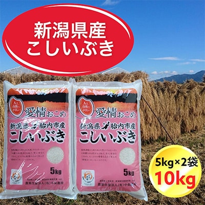 令和6年産　新潟県胎内市産こしいぶき10kg(5kg×2袋)(精米)