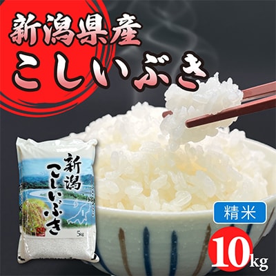 令和7年産　新潟県胎内市産こしいぶき10kg(5kg×2袋)(精米)