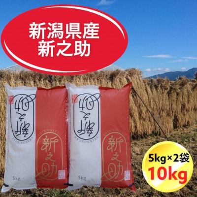 令和6年産　新潟県胎内市産新之助10kg(5kg×2袋)(精米)