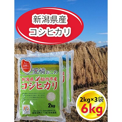 令和6年産　新潟県胎内市産コシヒカリ6kg(2kg×3袋)