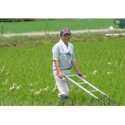 令和6年産　新潟県胎内市産コシヒカリ6kg(2kg×3袋)