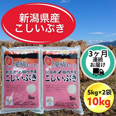 【毎月定期便】【3ヶ月連続お届け】新潟県胎内市産こしいぶき10kg(5kg×2袋)全3回