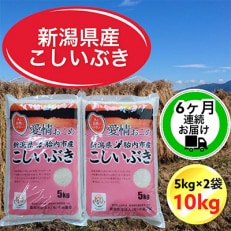 【毎月定期便】【6ヶ月連続お届け】新潟県胎内市産こしいぶき10kg(5kg×2袋)全6回