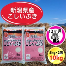 【毎月定期便】【12ヶ月連続お届け】新潟県胎内市産こしいぶき10kg(5kg×2袋)全12回