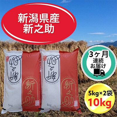 【毎月定期便】【3ヶ月連続お届け】新潟県胎内市産新之助10kg(5kg×2袋)全3回