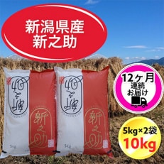 【毎月定期便】【12ヶ月連続お届け】新潟県胎内市産新之助10kg(5kg×2袋)全12回