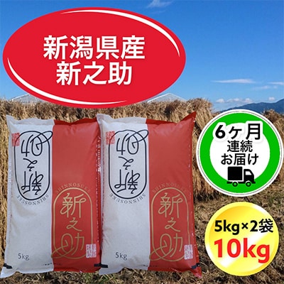 【毎月定期便】【6ヶ月連続お届け】新潟県胎内市産新之助10kg(5kg×2袋)全6回