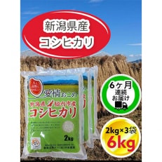 【毎月定期便】【6ヶ月連続お届け】新潟県胎内市産コシヒカリ6kg(2kg×3袋)全6回