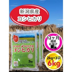 【毎月定期便】【12ヶ月連続お届け】新潟県胎内市産コシヒカリ6kg(2kg×3袋)全12回