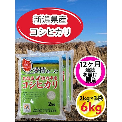 【毎月定期便】【12ヶ月連続お届け】新潟県胎内市産コシヒカリ6kg(2kg×3袋)全12回