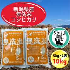 【毎月定期便】【3ヶ月連続お届け】新潟県胎内市産コシヒカリ無洗米10kg(5kg×2袋)全3回