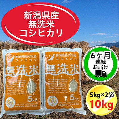 【毎月定期便】【6ヶ月連続お届け】新潟県胎内市産コシヒカリ無洗米10kg(5kg×2袋)全6回