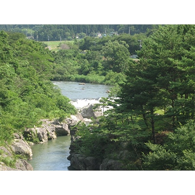 【毎月定期便】【6ヶ月連続お届け】新潟県胎内市産コシヒカリ無洗米10kg(5kg×2袋)全6回