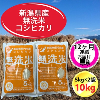 【毎月定期便】【12ヶ月連続お届け】新潟県胎内市産コシヒカリ無洗米10kg(5kg×2袋)全12回