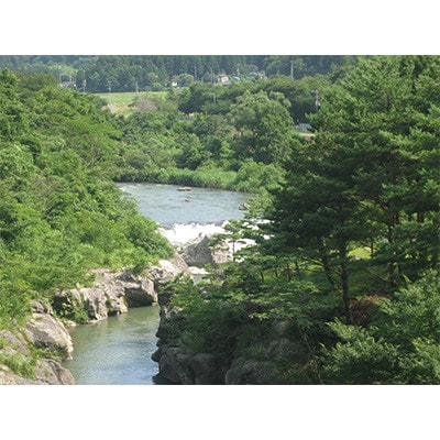 【毎月定期便】【6ヶ月連続お届け】新潟県胎内市産コシヒカリ10kg(5kg×2袋)全6回