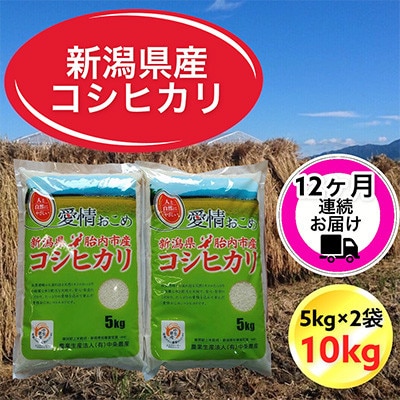 【毎月定期便】【12ヶ月連続お届け】新潟県胎内市産コシヒカリ10kg(5kg×2袋)全12回