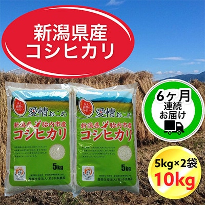 【毎月定期便】【6ヶ月連続お届け】新潟県胎内市産コシヒカリ10kg(5kg×2袋)全6回