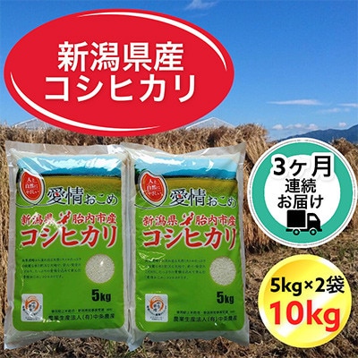 【毎月定期便】【3ヶ月連続お届け】新潟県胎内市産コシヒカリ 精米 10kg(5kg×2袋)全3回