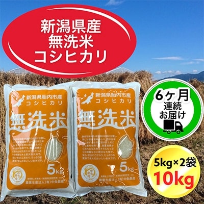 2022年8月発送開始『定期便』新潟県胎内市産コシヒカリ無洗米10kg(5kg×2)全6回