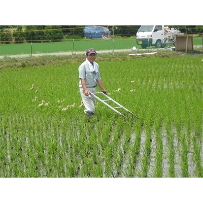 2022年8月発送開始『定期便』新潟県胎内市産コシヒカリ無洗米10kg(5kg×2)全3回