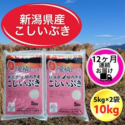 2022年3月発送開始『定期便』新潟県胎内市産こしいぶき10kg(5kg×2)全12回