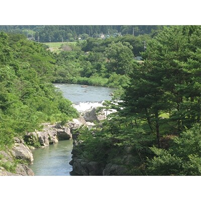 2022年3月発送開始『定期便』新潟県胎内市産こしいぶき10kg(5kg×2)全12回