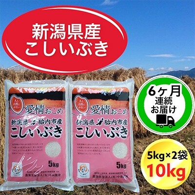 2022年2月発送開始『定期便』新潟県胎内市産こしいぶき10kg(5kg×2)全6回