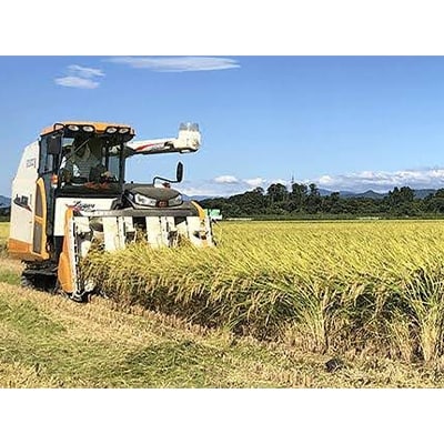 2022年2月発送開始『定期便』新潟県胎内市産こしいぶき10kg(5kg×2)全3回