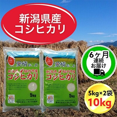 2022年3月発送開始『定期便』新潟県胎内市産コシヒカリ10kg(5kg×2)全6回