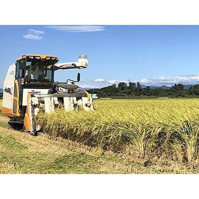 2022年3月発送開始『定期便』新潟県胎内市産コシヒカリ10kg(5kg×2)全6回