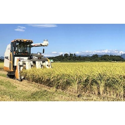 2022年7月発送開始『定期便』新潟県胎内市産こしいぶき10kg(5kg×2)全12回