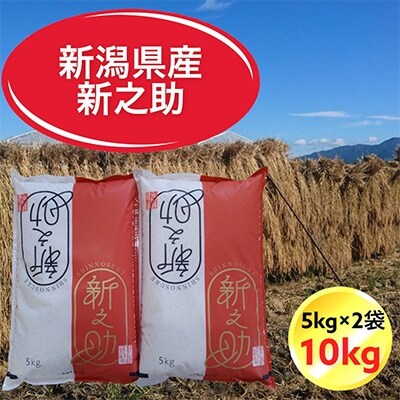 2022年10月発送開始『定期便』新潟県胎内市産新之助10kg(5kg×2)全12回