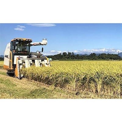 2023年9月発送開始『定期便』12ヶ月連続お届け 新潟県胎内市産コシヒカリ無洗米10kg全12回