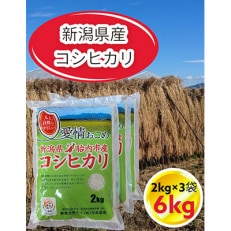 2023年5月発送開始『定期便』【6ヶ月連続お届け】新潟県胎内市産コシヒカリ6kg全6回