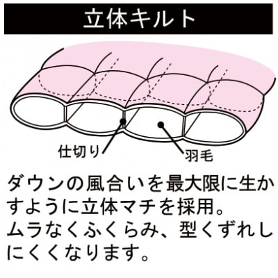 ロイヤルゴールドラベル羽毛掛けふとん ダブルサイズ　ブルー系【越後ふとん】
