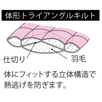 プレミアムゴールドラベル羽毛掛けふとん シングルサイズ　ベージュ系【越後ふとん】