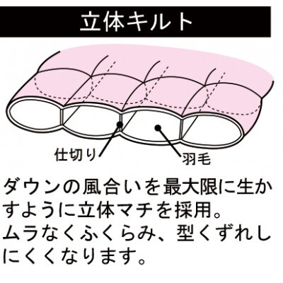 エクセルゴールドラベル羽毛肌掛けふとん　シングルサイズ　ワイン系【越後ふとん】