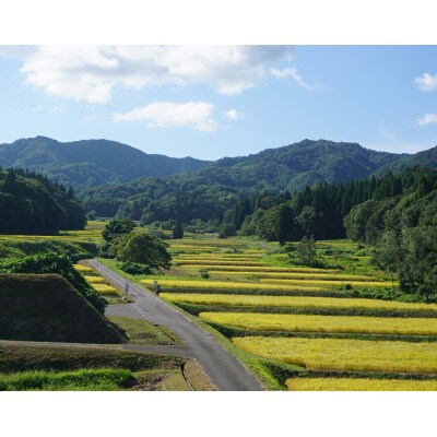 【祝!つなぐ棚田遺産認定】新潟県産コシヒカリ「きんのあき(精米)」5kg x 1袋　棚田米