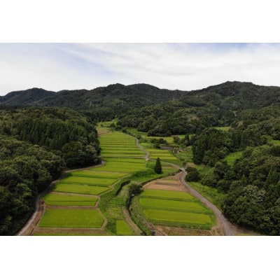 【祝!つなぐ棚田遺産認定】新潟県産コシヒカリ「きんのあき(精米)」5kg x 1袋　棚田米
