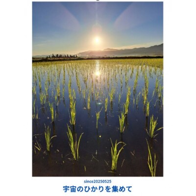 自然なお米(亀の尾:玄米) 10kgOryza Jozucana Satonaya新潟県城塚未検査米