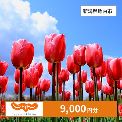 【じゃらんふるさと納税クーポン】 新潟県胎内市でつかえる9,000円 クーポン
